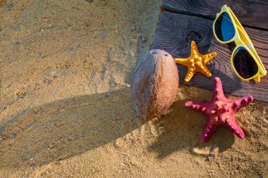 Güneş gözlüğü. Olgun Hindistan cevizi. Güneşli sahil kıyısı. İki denizyıldızı bir gıcırtıda gömülü kalas.