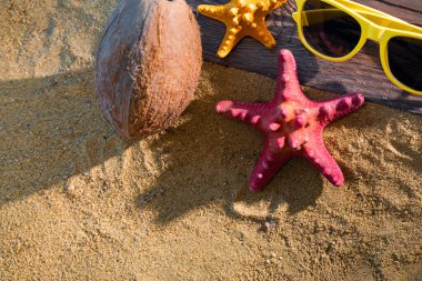 Güneş gözlüğü. Olgun Hindistan cevizi. Güneşli sahil kıyısı. İki denizyıldızı bir gıcırtıda gömülü kalas.