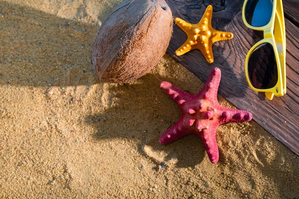 Güneş gözlüğü. Olgun Hindistan cevizi. Güneşli sahil kıyısı. İki denizyıldızı bir gıcırtıda gömülü kalas.