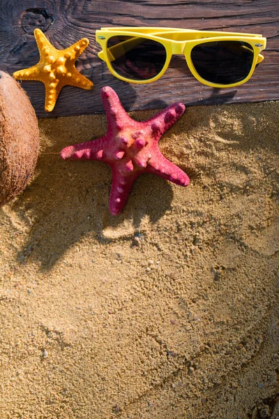 Güneş gözlüğü. Olgun Hindistan cevizi. Güneşli sahil kıyısı. İki denizyıldızı bir gıcırtıda gömülü kalas.