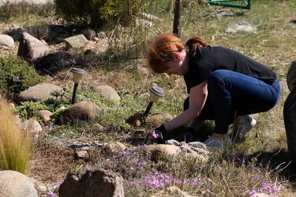 Middle-aged red-haired girl. Recreational land. Spring cleaning in the garden. Dry decorative grass.