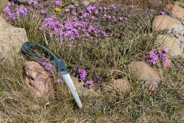 Ruční Pila Zuby Řezání Silných Větví Trávy Vyčnívají Kulaté Kameny — Stock fotografie