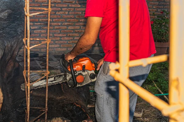 Parlak güneşli bir günde ağacı kesmek için barehand erkek işçi tarafından kullanarak eski testere closeup