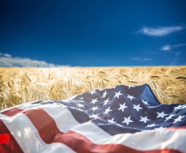 Amerikan bayrağı yalanlar üzerine altın buğday alanı.