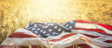 Amerikan bayrağı yalanlar üzerine altın buğday alanı.