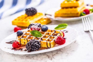 Çikolata şurubu meyveleri şeker tozu ve nane yaprakları ile taze gözleme.