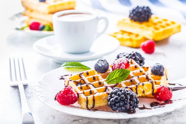 Çikolata şurubu meyveleri şeker tozu ve nane yaprakları ile taze gözleme.