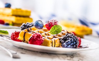 Çikolata şurubu meyveleri şeker tozu ve nane yaprakları ile taze gözleme.