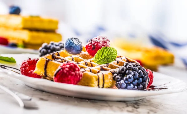 Çikolata şurubu meyveleri şeker tozu ve nane yaprakları ile taze gözleme.