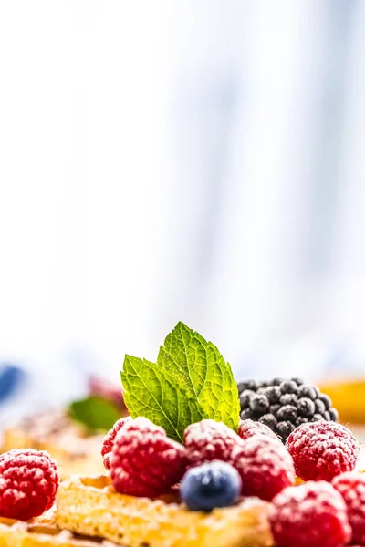 Frische Waffeln Mit Beeren Zucker Pulver Ameisenminzblätter — Stockfoto