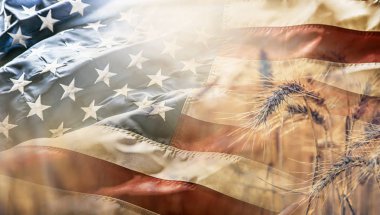 Olgun buğday koçanı arka planda Amerikan bayrağı ile gün batımında.