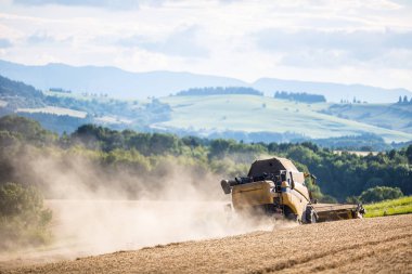 Biçerdöver buğday alanında çalışmalarında birleştirmek.