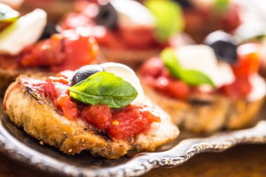 Bruschetta tost mozzarella peyniri domates zeytin fesleğen ve zeytinyağı ile. Caprese malzemeler ve mediterrannean ya da İtalyan mutfağı.