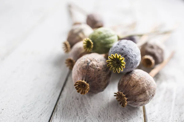 Cabezas Amapola Libremente Acostadas Una Tabla Madera — Foto de Stock