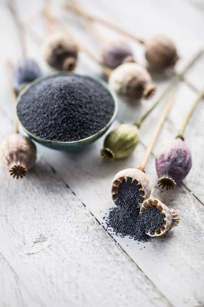 Maanzaad Met Hun Hoofden Houten Planken — Stockfoto