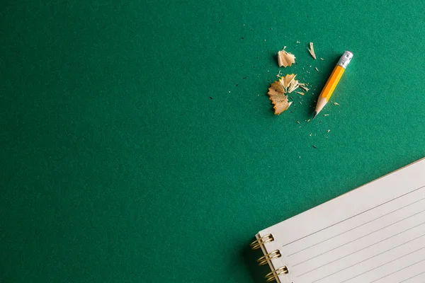 Cuaderno Escolar Con Lápiz Sobre Fondo Verde — Foto de Stock