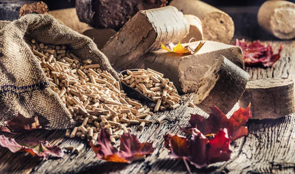 Granulés Bois Pressés Briquettes Biomasse Avec Feuilles Automne — Photo