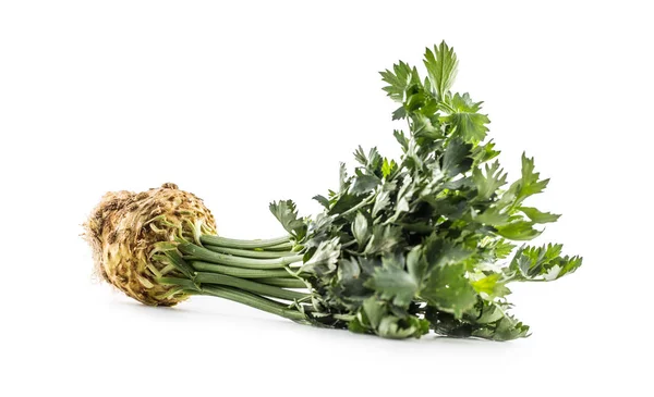 Ripe Celery Root Crops Stem Leaves Isolated White Background — Stock Photo, Image