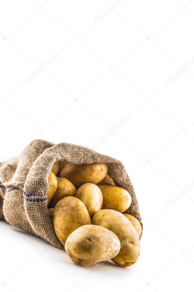 New potatoes in burlap sack isolated on white background.