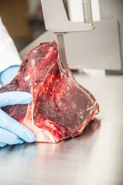 Şerit testere tezgahı üzerinde çalışan bir et dükkanda eti kesip. Dilimleme ve kesme T-Bone biftek pazarında.