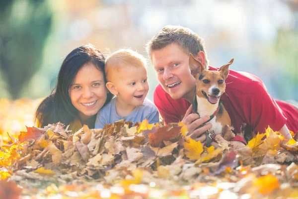 Happy Family Mother Father Baby Boy Dog Autumn Park Playing — Stock Photo, Image