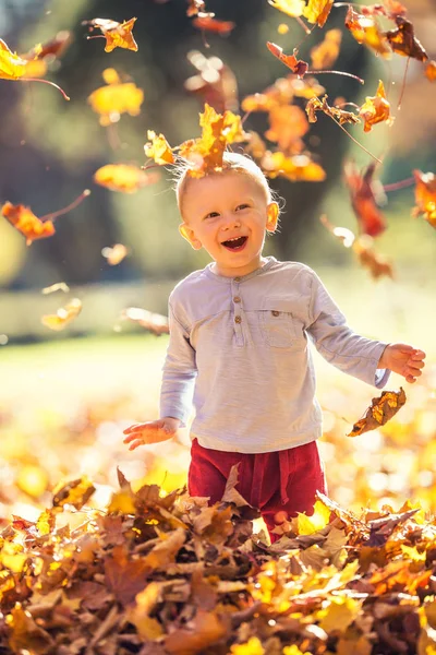 Pequeno Garoto Hapy Parque Outono Brincando Com Folhas — Fotografia de Stock