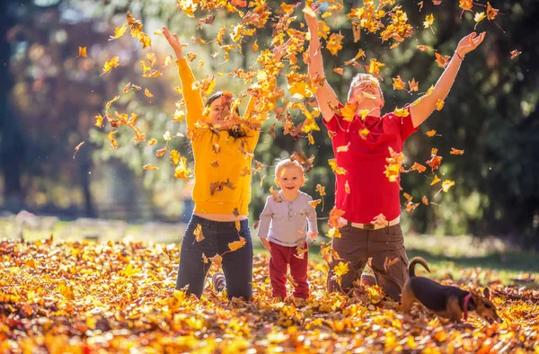 Bonne Famille Mère Père Bébé Garçon Chien Dans Parc Automne — Photo