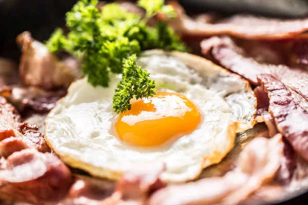 Close Roasted Bacon Egg Herbs Pan — Stock Photo, Image