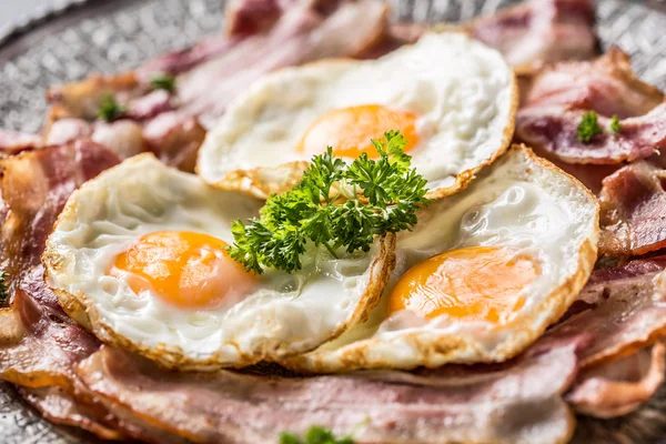 Close Roasted Bacon Egg Herbs Plate — Stock Photo, Image