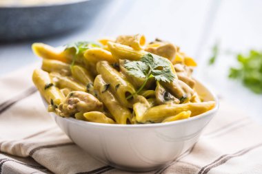 Makarna pene tavuk mantar parmesan peynir sosu ve bitki dekorasyon parçaları. Pene con pollo - İtalyanca veya medierranean mutfağı.