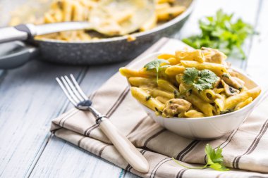 Makarna pene tavuk mantar parmesan peynir sosu ve bitki dekorasyon parçaları. Pene con pollo - İtalyanca veya medierranean mutfağı.