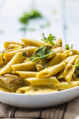 Makarna pene tavuk mantar parmesan peynir sosu ve bitki dekorasyon parçaları. Pene con pollo - İtalyanca veya medierranean mutfağı.