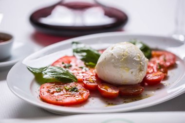 Mozzarella peyniri domates fesleğen zeytinyağı bir baharat üzerinden Caprese salatası.