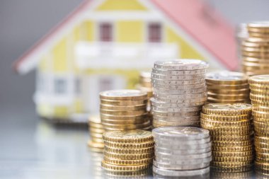 Banka veya sigorta kavram olarak sikke ile modeli familly ev