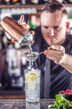 Profesyonel barmen meyve ile alkollü kokteyl içki yapma