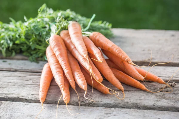 Букет свіжої моркви вільно лежить на старій садовій дошці — стокове фото