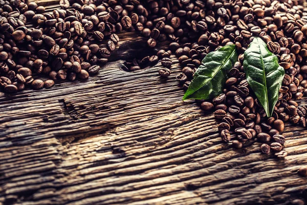 Top nézet kávébab és zöld levelek rusztikus tölgyfa asztal — Stock Fotó