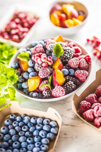 Dondurulmuş meyve yaban mersini böğürtlen ahududu kırmızı frenk üzümü şeftali ve otlar melissa