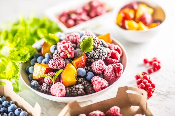 Gefrorene Früchte Blaubeeren Brombeere Himbeere rote Johannisbeere Pfirsich und Kräuter Melisse — Stockfoto