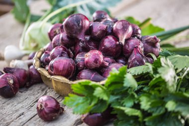 Bahçe masasında bronz kase kırmızı soğan. Yakın çekim taze sağlıklı sebze