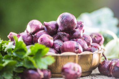 Bahçe masasında bronz kase kırmızı soğan. Yakın çekim taze sağlıklı sebze