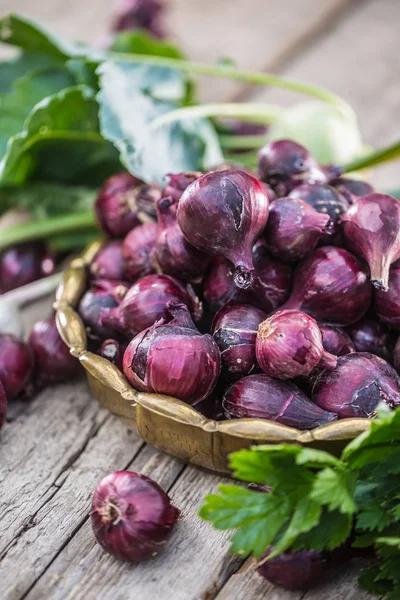 Cebolla roja en un tazón de bronce sobre una mesa de jardín. Primer plano vegetal sano fresco — Foto de Stock