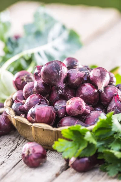 Red onion in bronze bowl on garden table. Close-up fresh healthy vegetable — Stock Photo, Image