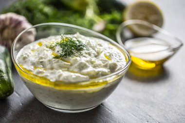 Bir cam kase dereotu salatalık zeytin yağı limon ve sarımsak Tzatziki Sause