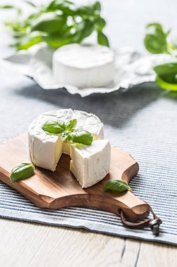 Masada fesleğen yaprakları ile Camembert veya brie peynir