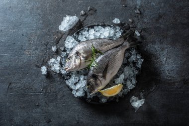 Biberiye ve limon ile buz çiğ akdeniz balık çipura