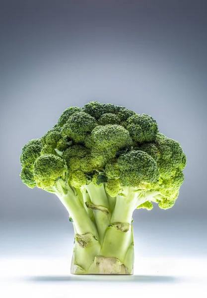 Fresh broccoli laid vertically on an abstract blue background — Stock Photo, Image