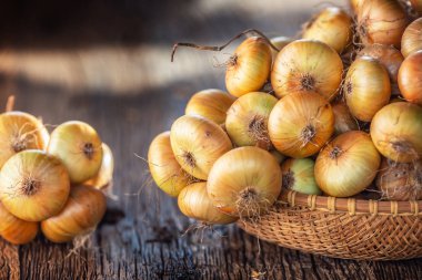 ahşap bir masa üzerinde serbestçe yatan kurutulmuş soğan demeti