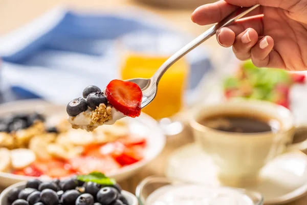 Hälsosam frukost på Spoon müsli blåbär yoghurt och jordgubb på gaffel — Stockfoto