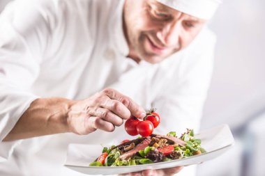 Otel ya da restoranın mutfağında aşçı Foo 'yu dekore eder.